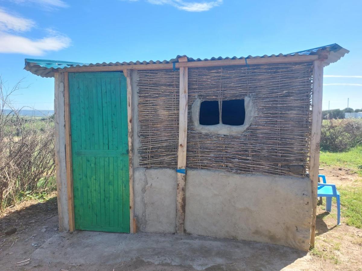 Maasai Homestay Camping Sekenani Exterior foto